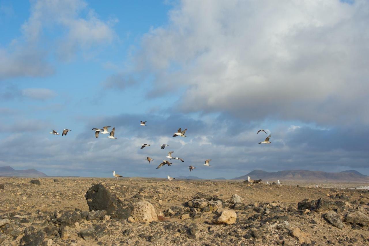 Los Lagos Roque المظهر الخارجي الصورة