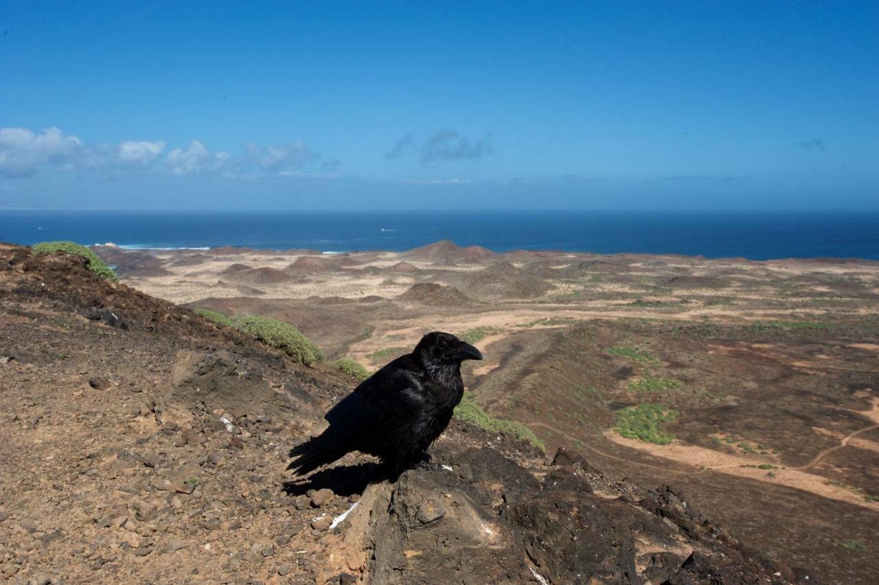 Los Lagos Roque المظهر الخارجي الصورة
